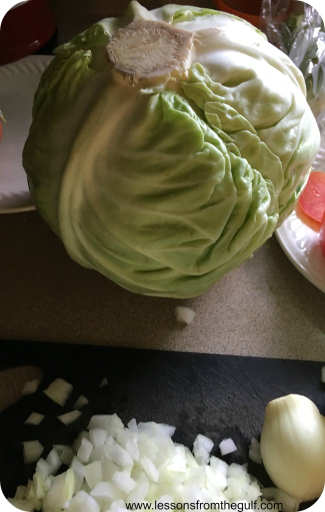 cabbage-bn